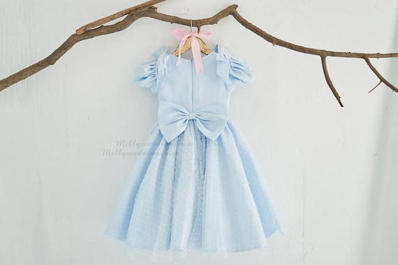 Swiss Dot Overlay Blue Flower Girl Junior Bridesmaid Dress  M0096