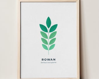 Illustrazione botanica di foglie di sorbo / Arte murale stampabile / Download digitale della natura / Stampa minimalista