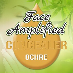 Airbrush Makeup Concealer