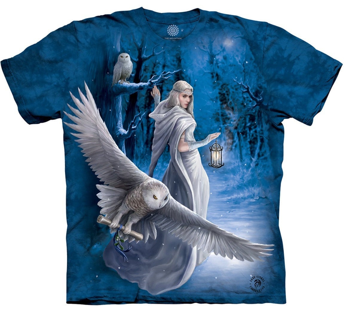 Midnight Messenger Owl Fairy Bird Owls Hoot Bubo Graceful -