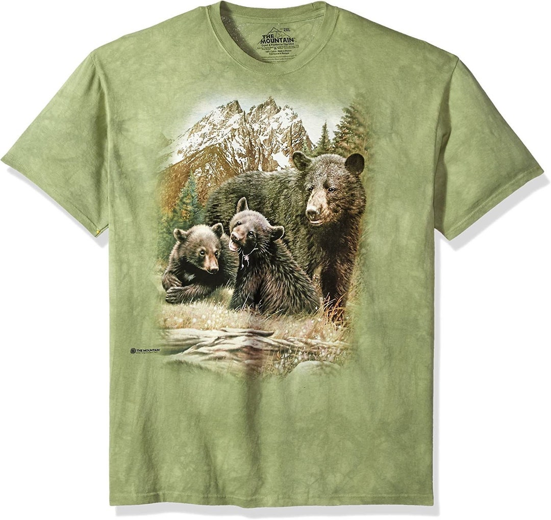 The Mountain Black Bear Family Cubs Grizzly Mama American Bears Animal ...