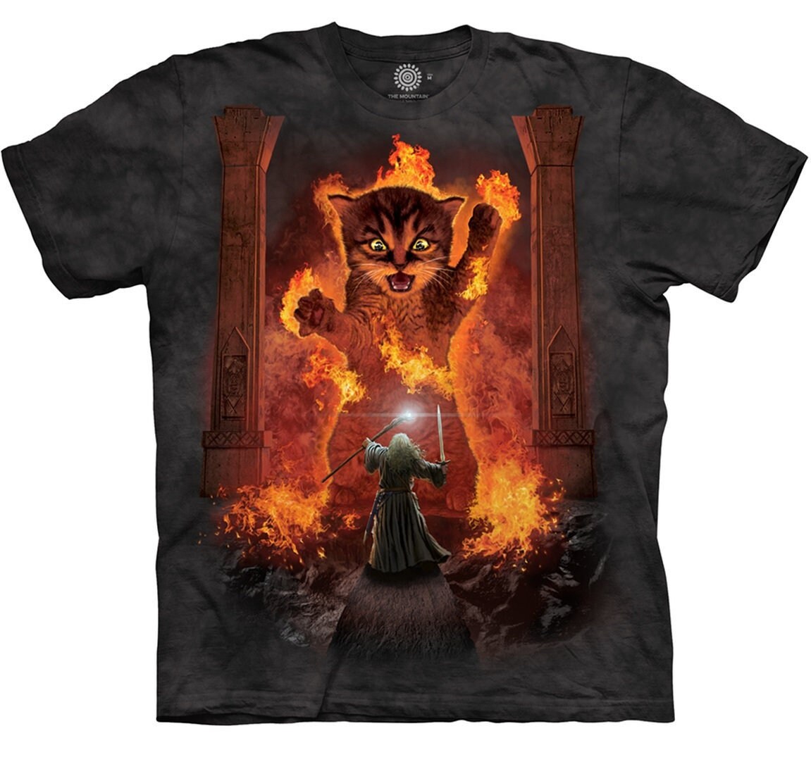 Cats Kittens Kitty You Shall Not Pass Fire Flames Gandalf Catdalf Frodo Lord of the Rings Wizard Magic Cute Adult The Mountain T-Shirt S-3X