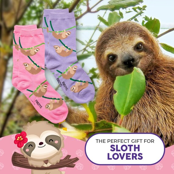 Sloth Hanging Slow Lazy Rainforest Tree Sloths An… - image 2