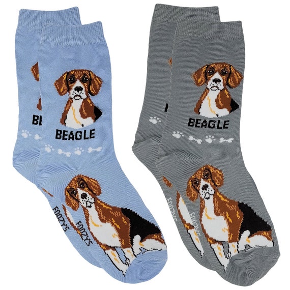 Caletines para hombre, originales, perro beagle