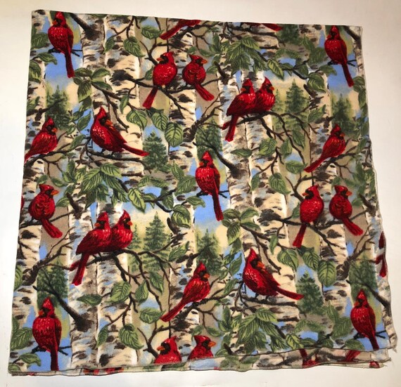 Louisville Cardinals Striped Baby Blanket