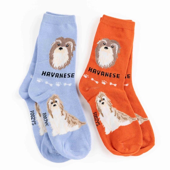 Havanese dog best sale rescue