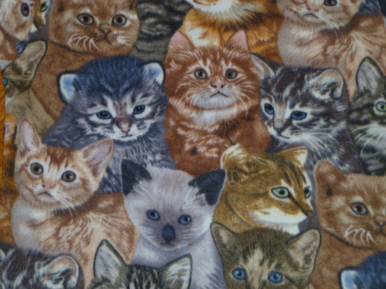 Zoofleece Cute Cats Kitten Polar Fleece Oversized 60x60