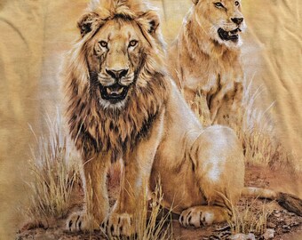 Lion Pair King Jungle Tiger Lions the Mountain Gold Wild Majestic