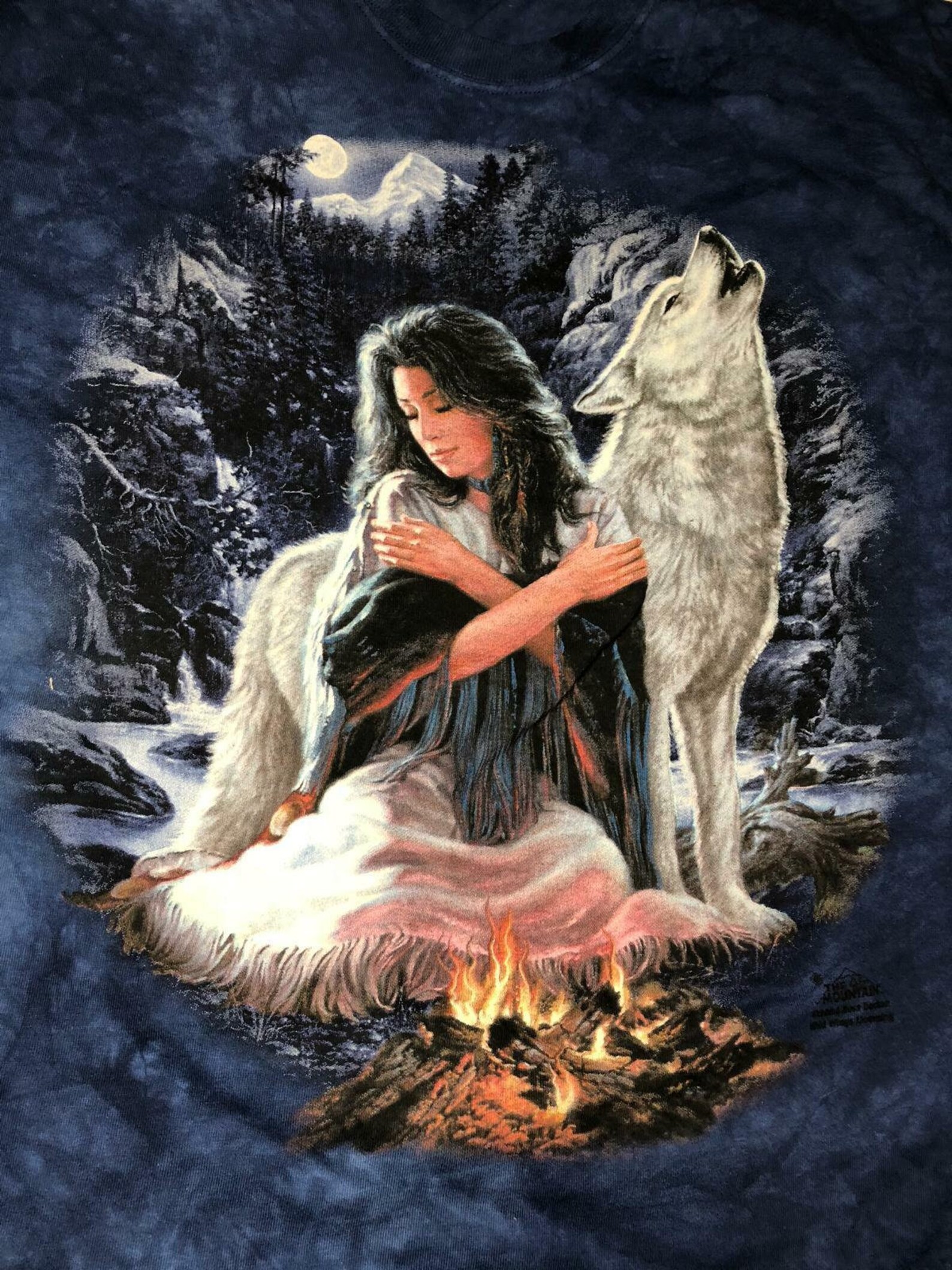 Native American Indian Spirit Maiden Woman Horse Blue Wolf | Etsy