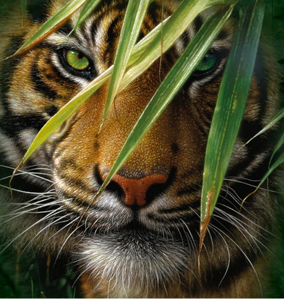 Tiger Emerald Forest King Jungle the Mountain Green Wild - Etsy Australia Tiger Emerald Forest King Jungle the Mountain Green Wild - Etsy Australia