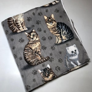 ZooFleece Cat Gray Cats Kitten Persian Shorthair Animal Fleece Blanket Quilt Throw Comfortable Gift 50X60”