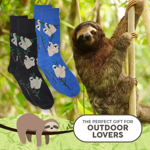 Sloth Lazy Hanging Slow Sloths Treetops Adorable … - image 3
