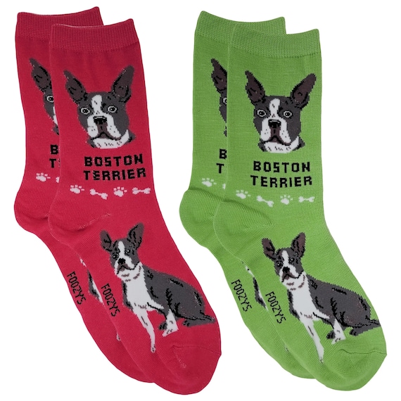 Boston Terrier Dog Rescue American Gentleman Frie… - image 1