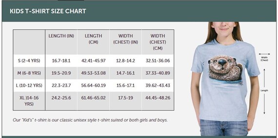 Horses Clouds Running Galloping Spirited Beautifu… - image 4