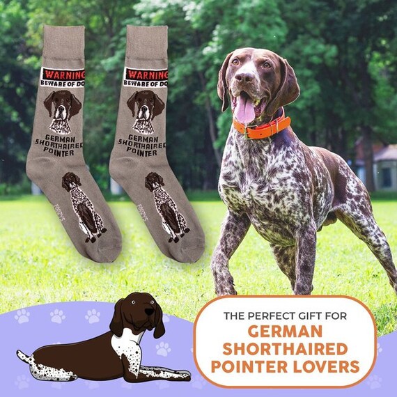 German Shorthaired Pointer Warning Dog Rescue Ani… - image 2