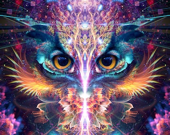 Trippy Owl Art Etsy