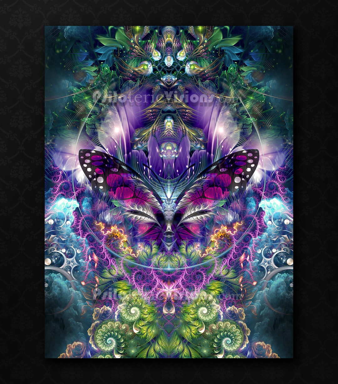 T10081】DOOSYCOOKIE/COSMIC BUTTERFLY il_340x270