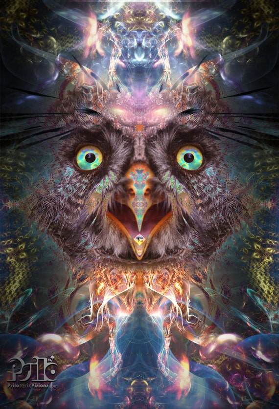 Psychedelic Kaleidoscope Owl Bird 5 Panel Canvas Print Wall Art