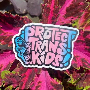 protect trans kids vinyl sticker