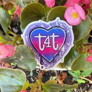t4t vinyl sticker