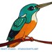 see more listings in the Birds & Little Creatures section