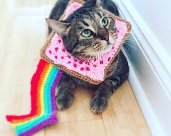 Nyan Cat Costume