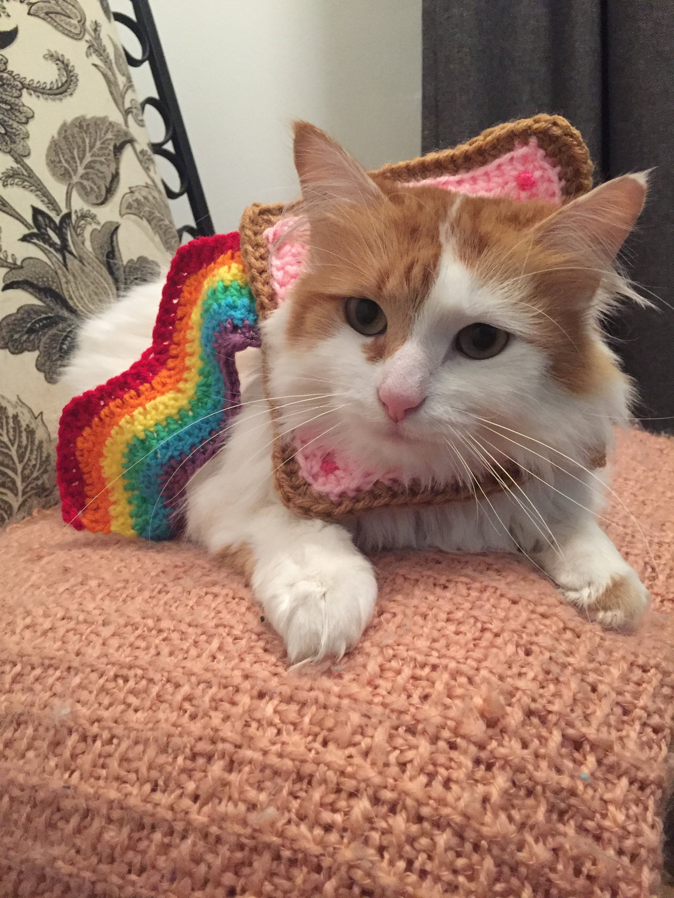 Nyan Cat Costume Etsy Sweden