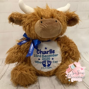 Personalised Highland Cow Teddy Bear, birthday Gift, Boy or Girl , Christening Teddy, 1st birthday, personalized stuffie