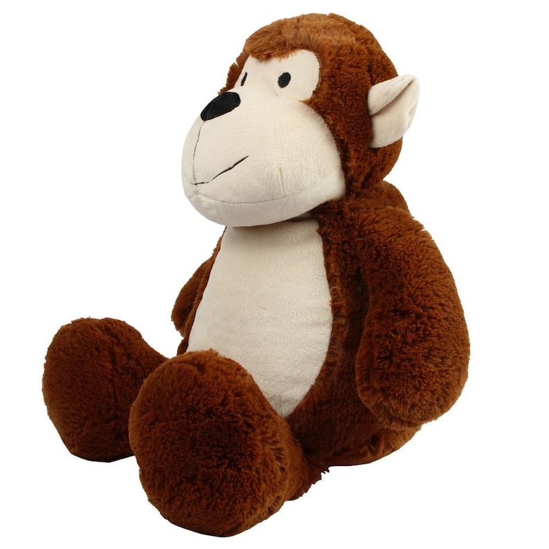 monkey teddy