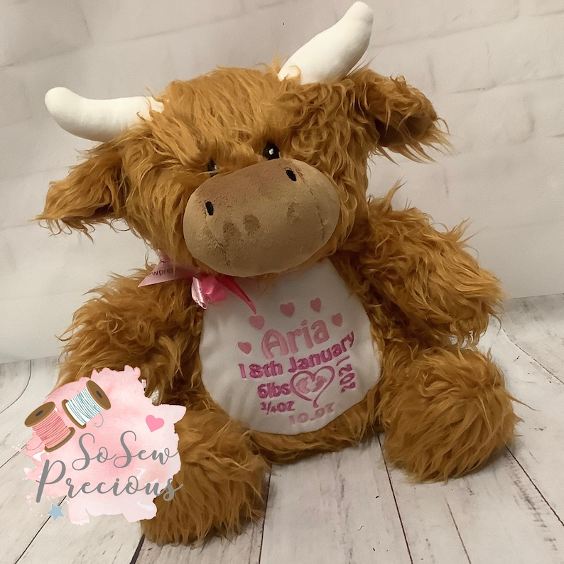 Personalised Highland Cow Teddy Bear Birthday Gift Boy or Etsy UK