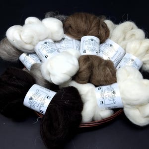 Sheep Breed Study Sampler Pack Roving (200g)