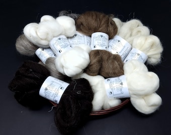 Sheep Breed Study Sampler Pack | Wool Roving Reference Set (200g)
