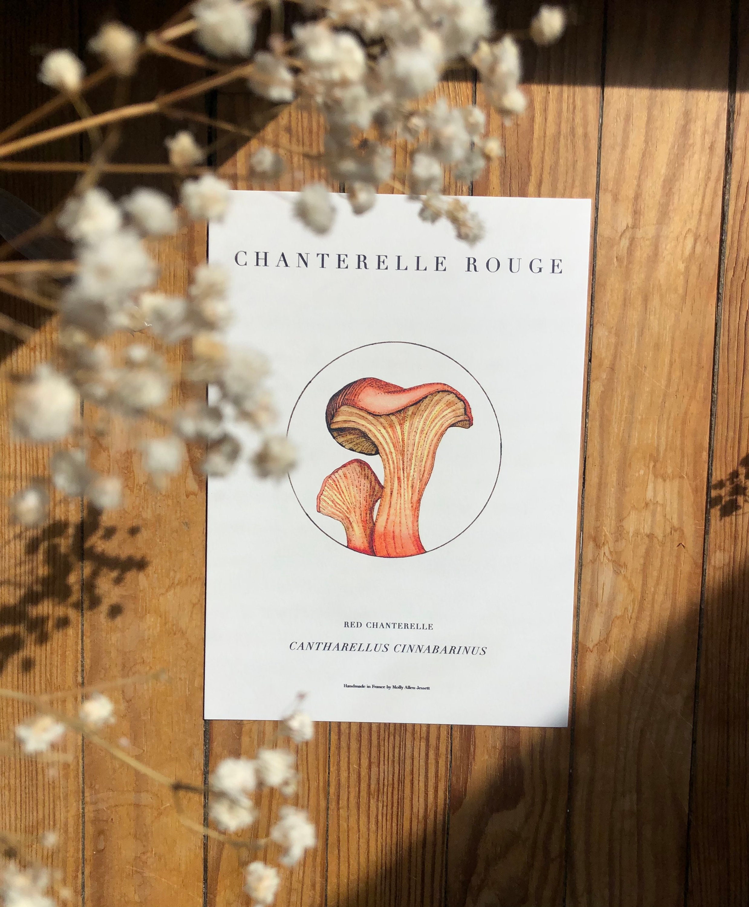 Rouge Chanterelle Art Print | A5 | En