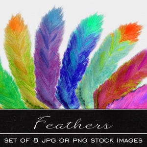 Feather clip art, digital watercolor clipart, drawing, illustration,print, printable, download, commercial use, PDF, JPG, PNG