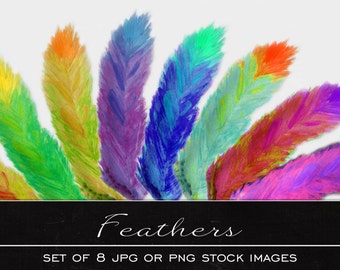 Feather clip art, digital watercolor clipart, drawing, illustration,print, printable, download, commercial use, PDF, JPG, PNG