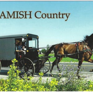 Carte postale balade en buggy en famille pays amish