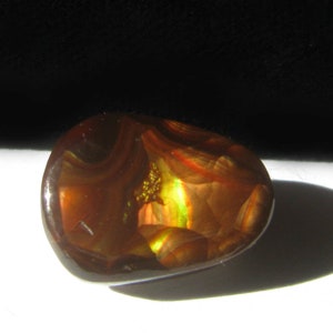 Mex Fire Agate - Fuoco Agate Cabochon - Gemma marrone - Organico - Opale naturale - profondità 4.3-4.9mm - 12mm x 16.25mm - 8,5 carati - 1,7 grammi
