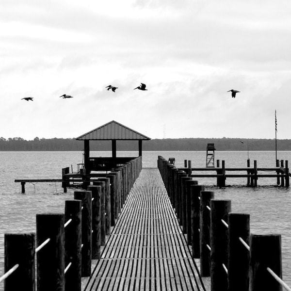 Pier With Pelicans At God's Front Yard, Beckwith