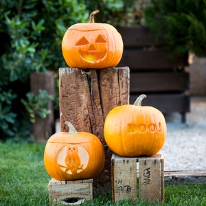 Jack O Lantern Templates Carving Pumpkin Stencils 12 Desings PDF Direct Download imagem 5