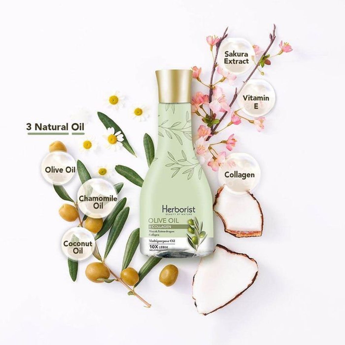 Herborist Minyak Zaitun Olive Oil Plus Collagen 150ml Etsy