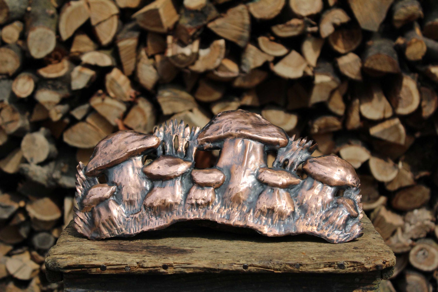 Cèpes Mur en Cuivre à La Main