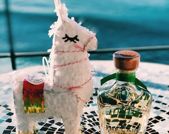 Llama mini piñatas - bachelorette - México - llama party favor -llama decor - fiesta party