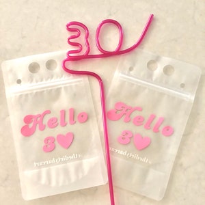 30TH BIRTHDAY Drink Pouches | Booze Bags | Party Pouches | Drink Bags | Reusable | Alcohol | Vacation | Girls Weekend | B-day | Birthday