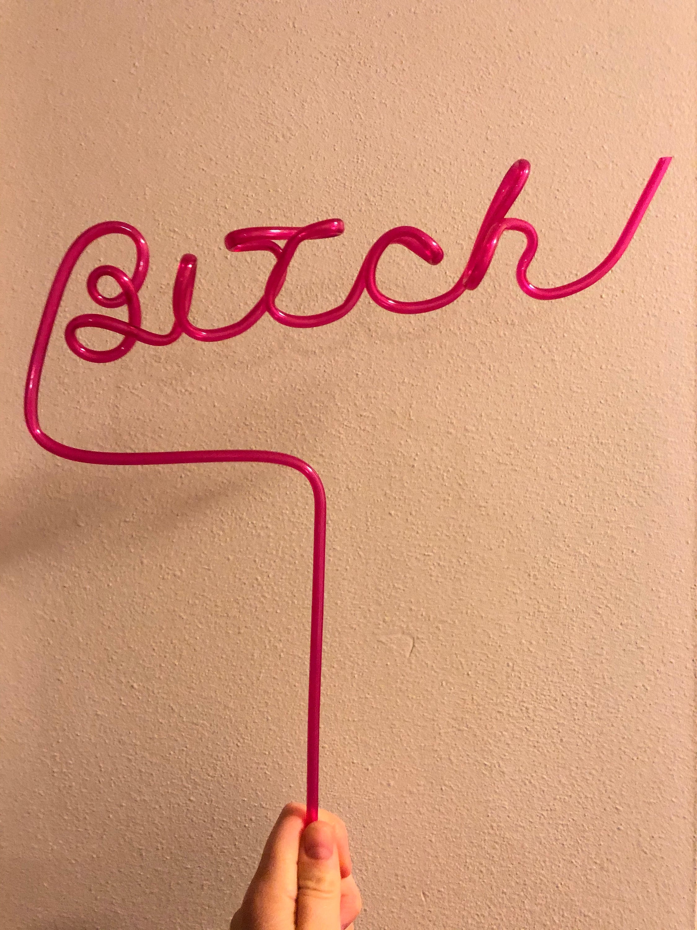 Btch Straw Party Decorations Gag Gift Party Crazy Straws Etsy