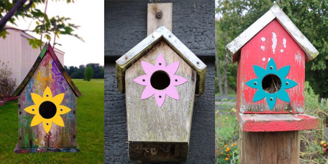 Flower Birdhouse Hole Protector predator Guard Etsy
