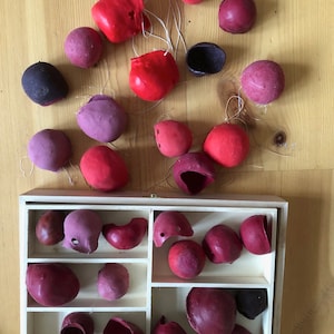 Tutti Frutti : Batch of 10 clown noses . Ensemble de 10 nez de clown , tous différents image 3