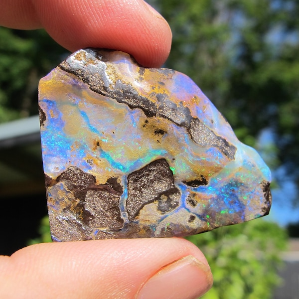 Boulder Opal Specimen