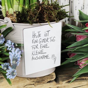 Imán "Pequeña Excepción" - eEDICIÓN BUENOS ESPÍRITUS