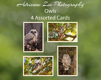 Owl Card Set, 4 assorted owl photo cards, wildlife variety card, small gift, owl lover, bird lover card, Mother's Day gift, for him, Ontario