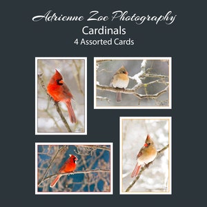 Ensemble de cartes Cardinal, 4 cartes vierges assorties, paquet de cartes de vœux, paquet de cartes de voeux d'hiver, cadeau de fête des mères, cadeau de sympathie, Canada, Noël
